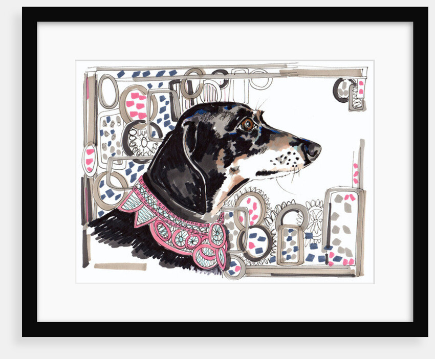 Lacey The Dachshund, 2013 by Jo Chambers