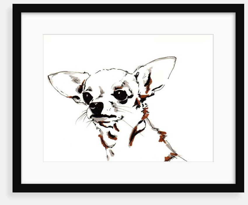 Big Ears the Chihuahua by Jo Chambers