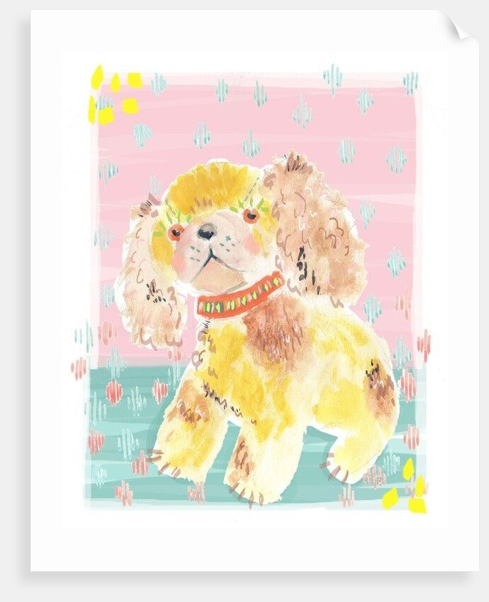 Spaniel, 2014 by Jo Chambers