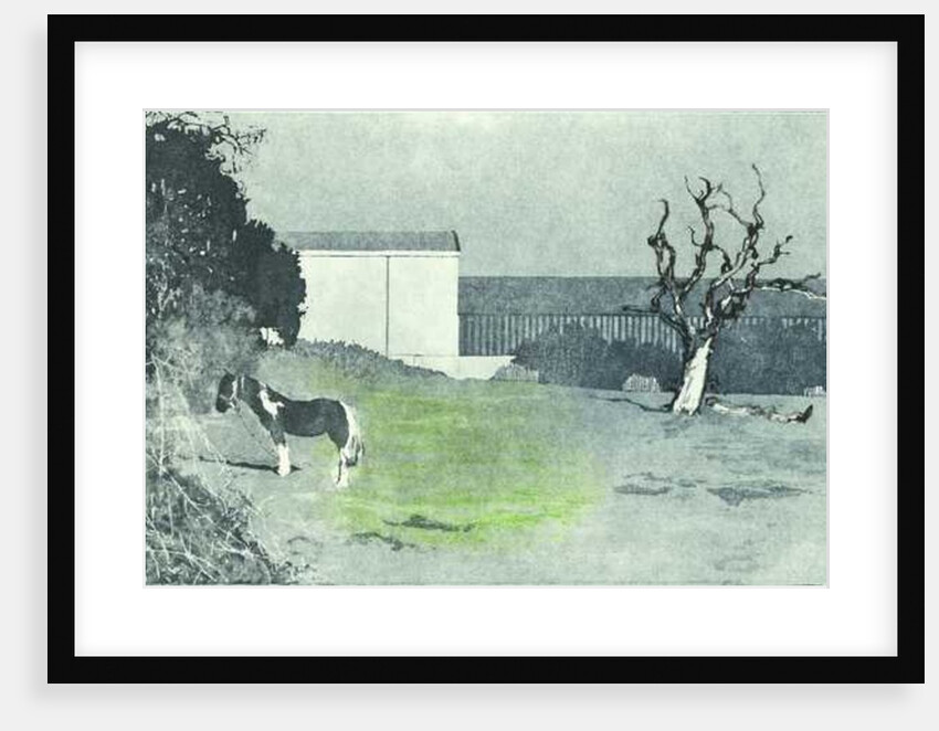 Facing new growth, 2016 by Catherine Sutcliffe-Fuller