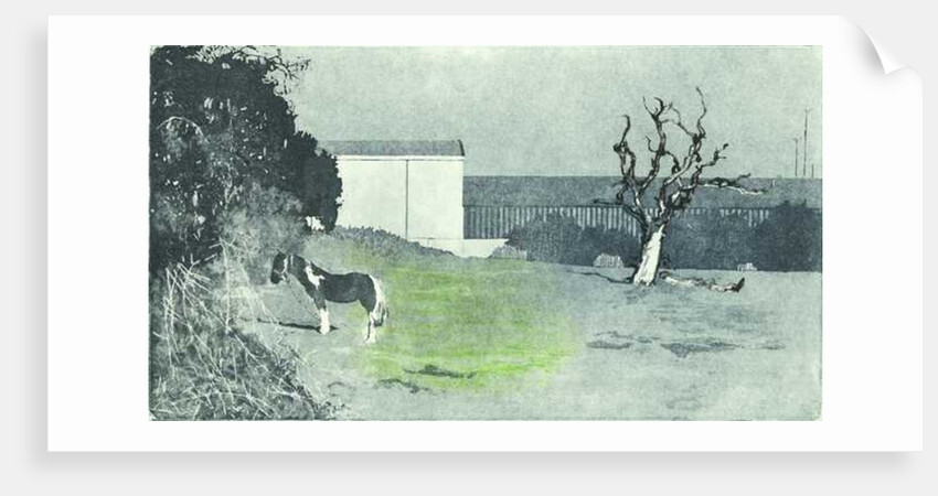 Facing new growth, 2016 by Catherine Sutcliffe-Fuller