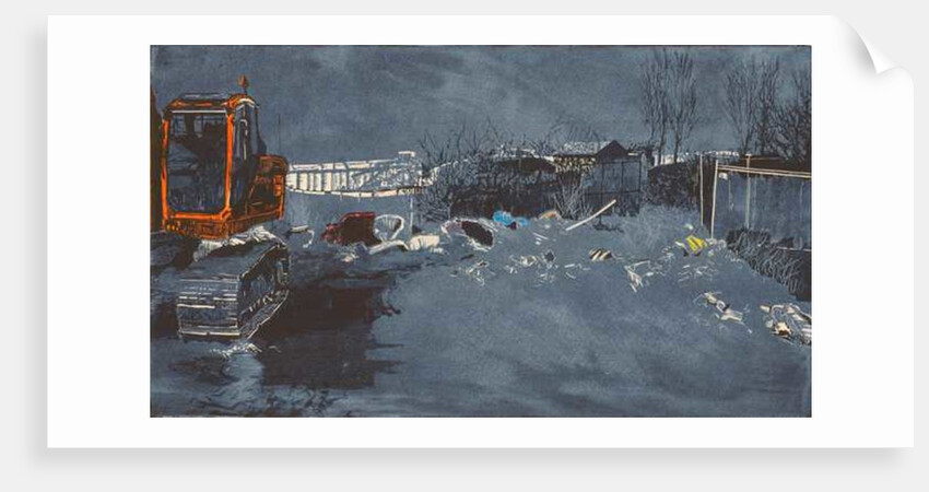 Wide expanse with 300 newts, 2014 by Catherine Sutcliffe-Fuller