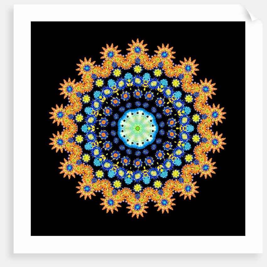 Tropical Fish Wheel 2, 2016 by Robyn Parker