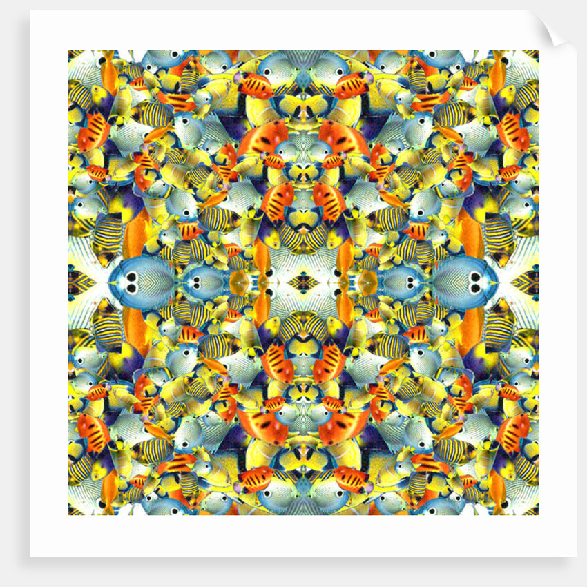 Kaleidoscope Fish Tile, 2016 by Robyn Parker