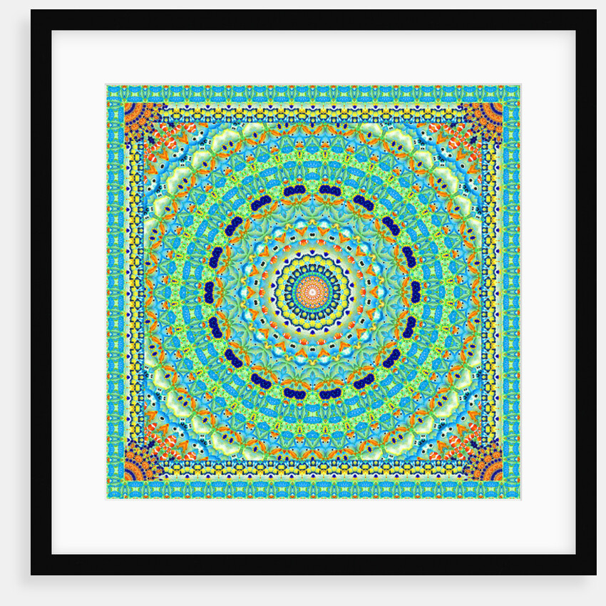 Tropical Fish Wheel Tile, 2016 by Robyn Parker