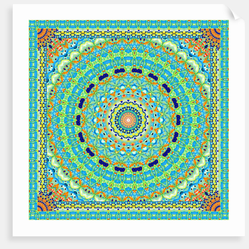 Tropical Fish Wheel Tile, 2016 by Robyn Parker