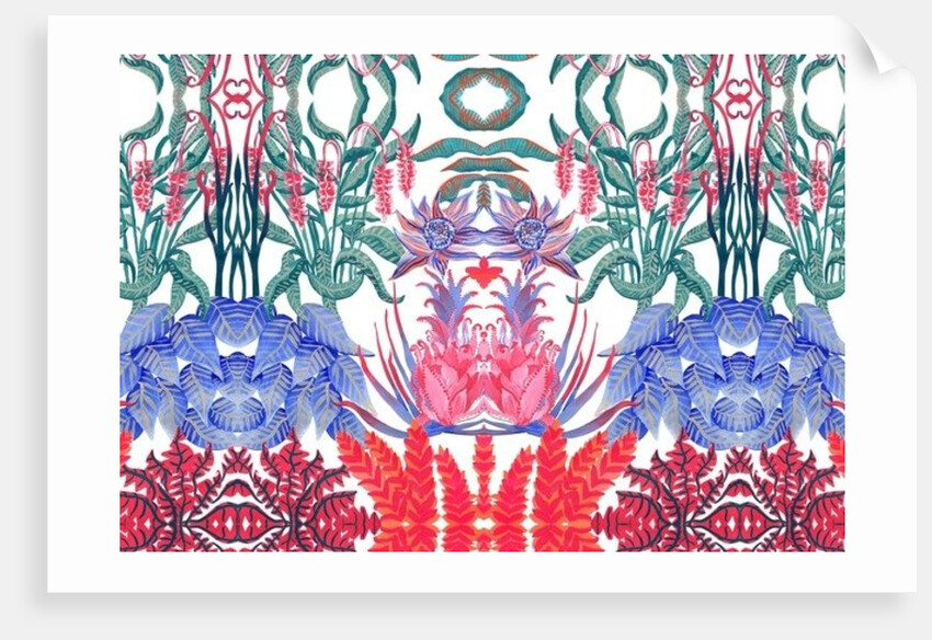 Jungle Jim, 2015 by Charlotte Orr