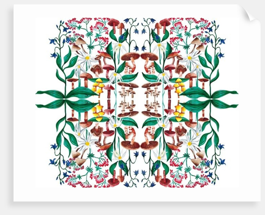 Wild Plants, 2015 acrylic by Charlotte Orr