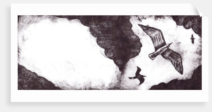 The Seagull's Tale, 2012 by Charlotte Orr