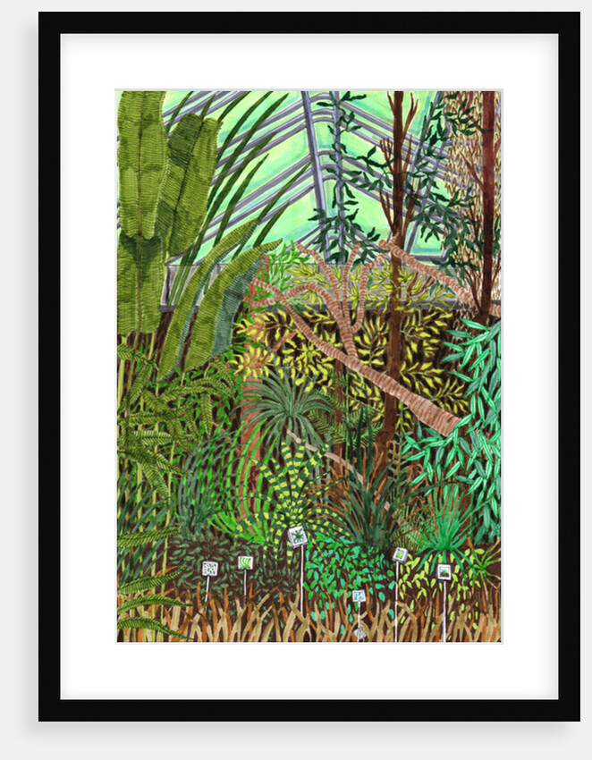 Botanic Garden, 2017 by Charlotte Orr