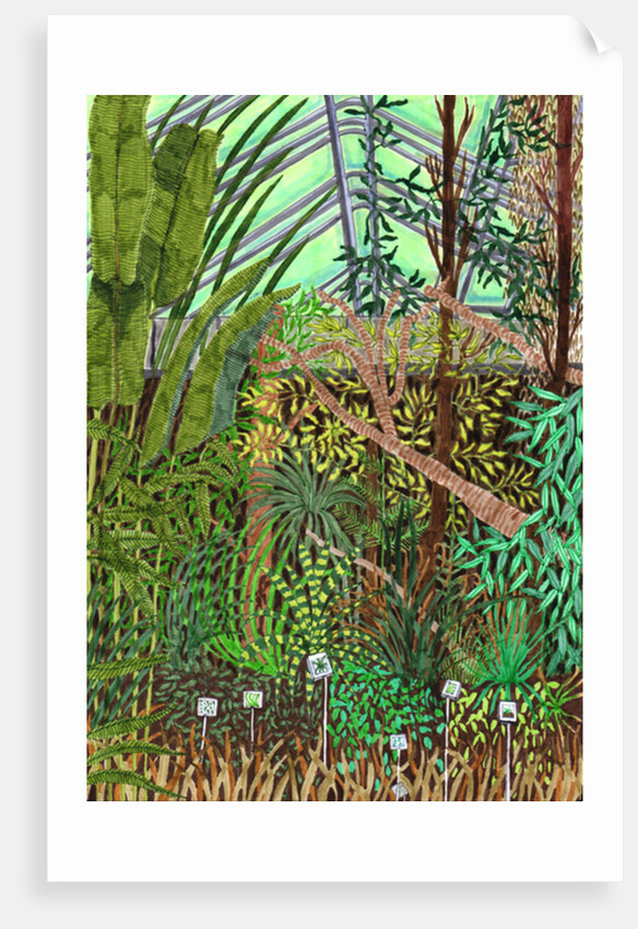 Botanic Garden, 2017 by Charlotte Orr