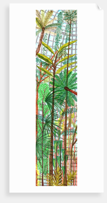 Botanic Garden, 2017 by Charlotte Orr