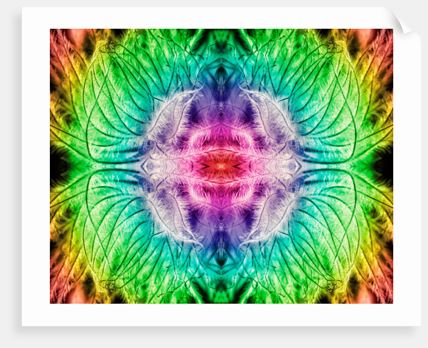 Rainbowed Plant, 2015 by Ant Smith