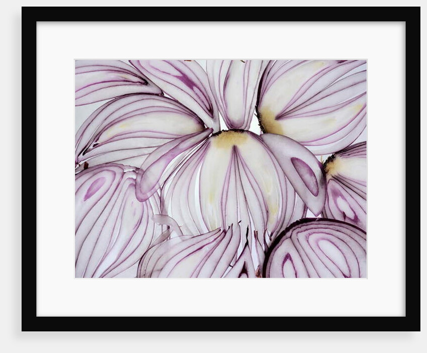 Red Onion Slices, 2020 by Ant Smith