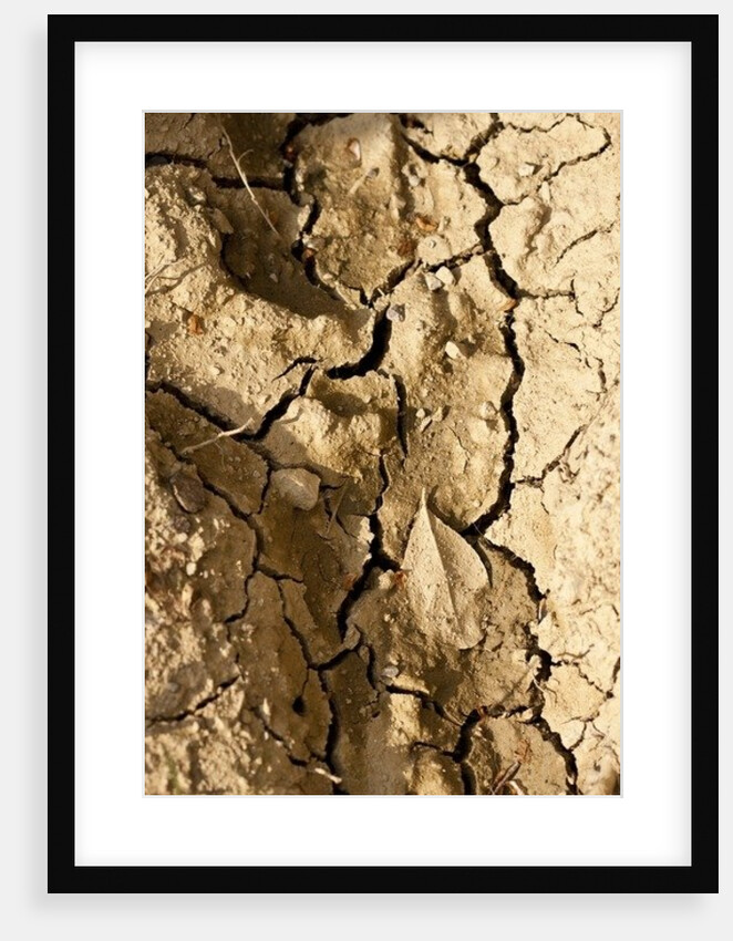 Dry by K.B. White