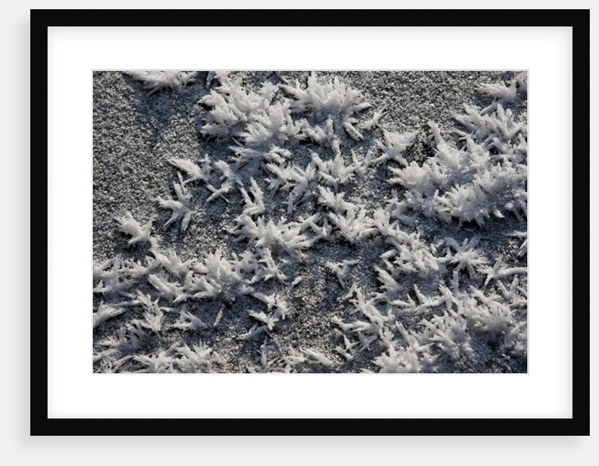Snow and Ice by K.B. White