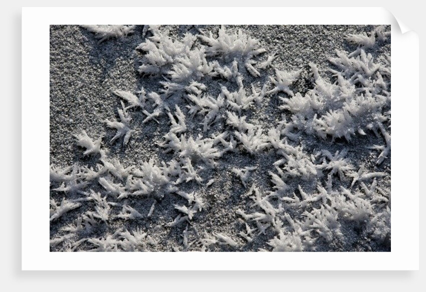 Snow and Ice by K.B. White