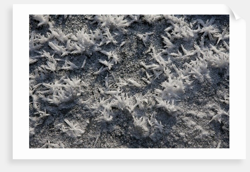 Snow and Ice II by K.B. White