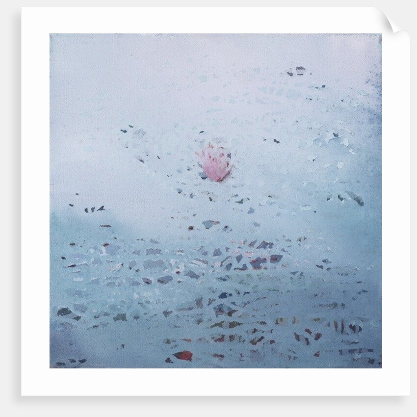 Lotus, 2011 by Luke Elwes