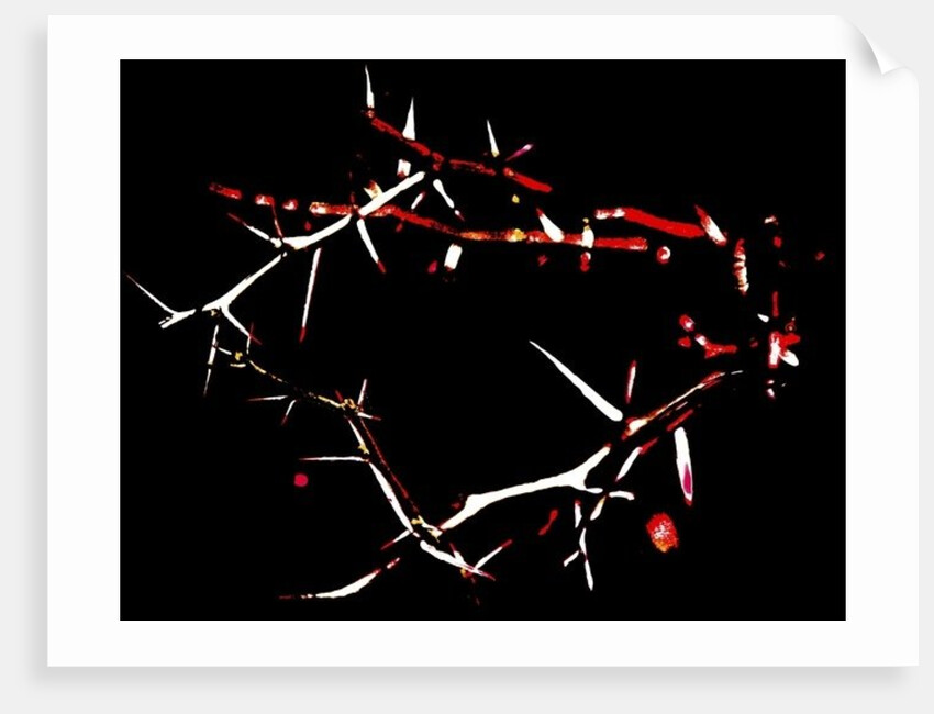 Crown of Thorns, 2015 by Joy Lions