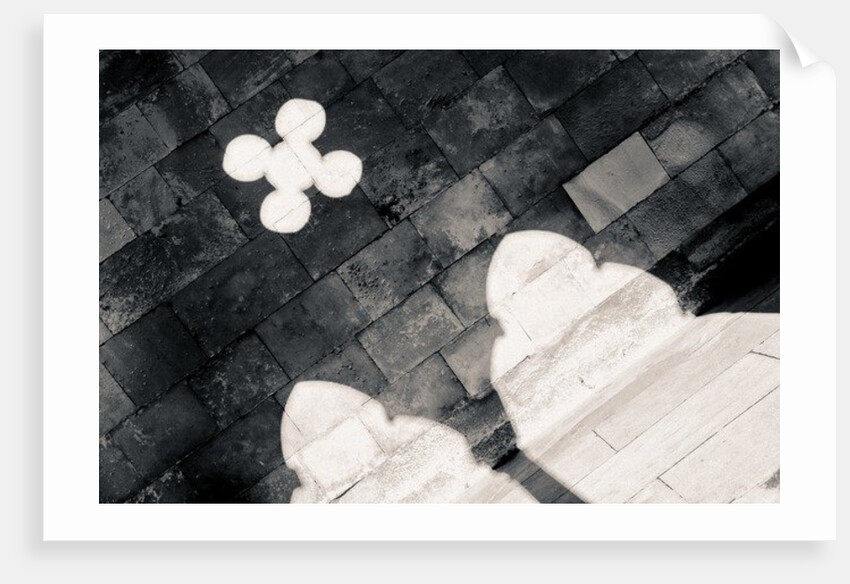 Light in the Cloister by Joy Lions