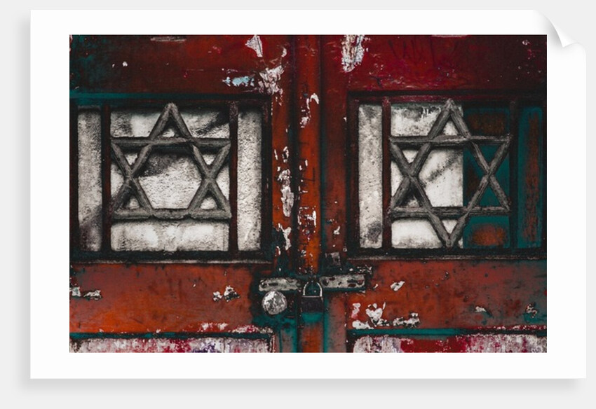 Locked Doors, 2016 by Joy Lions