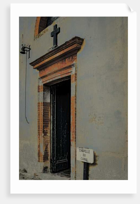 Bienvenue by Joy Lions