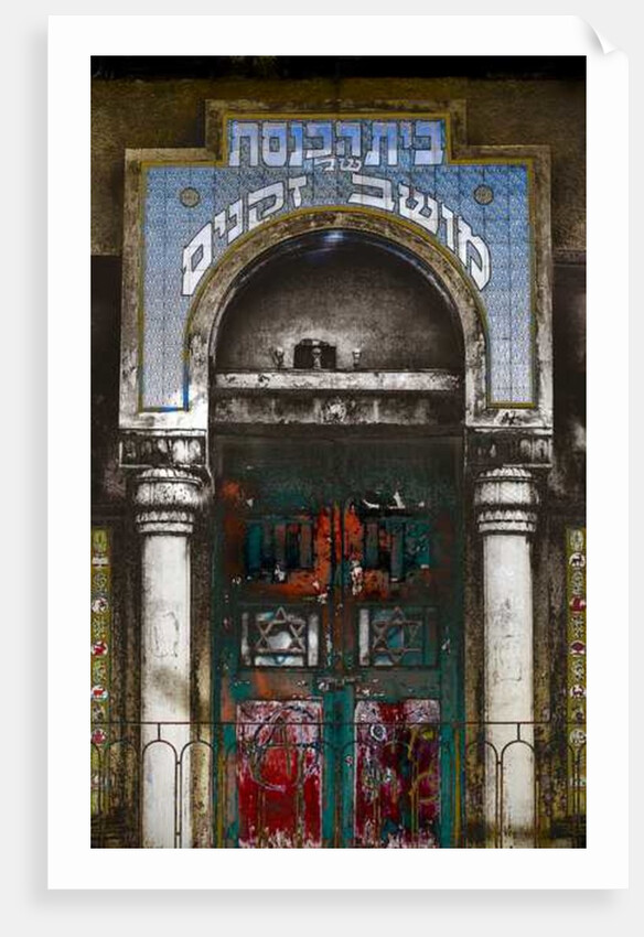 89 Allenby Street, 2016 by Joy Lions