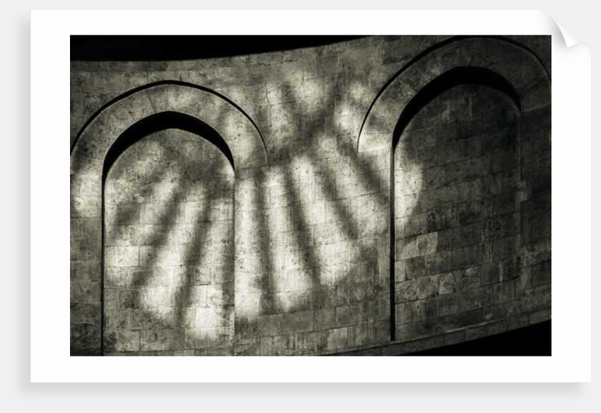 Beautiful Light by Joy Lions