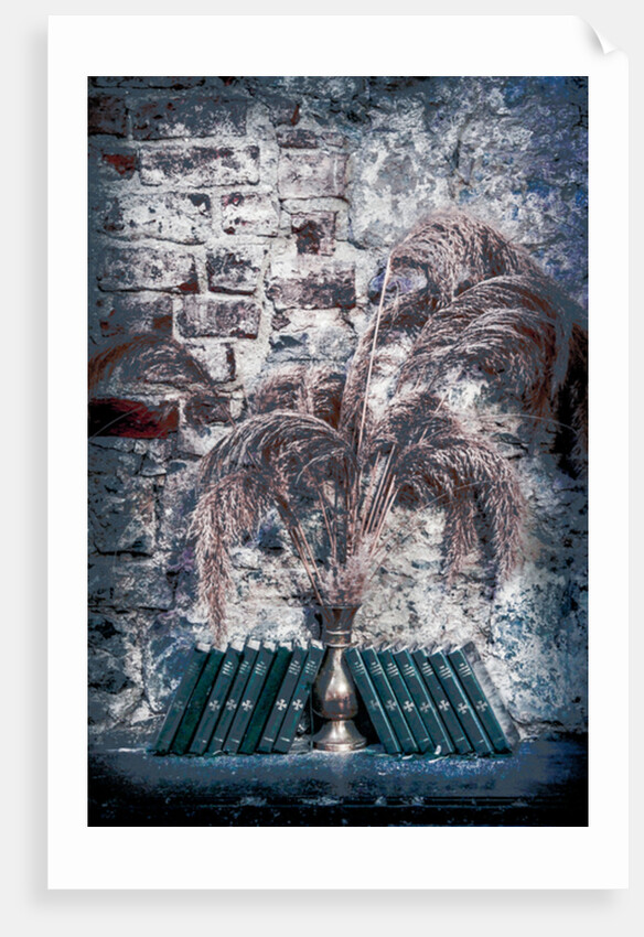 The Book of Common Prayer by Joy Lions