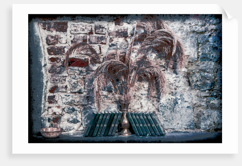 The Book of Common Prayer by Joy Lions