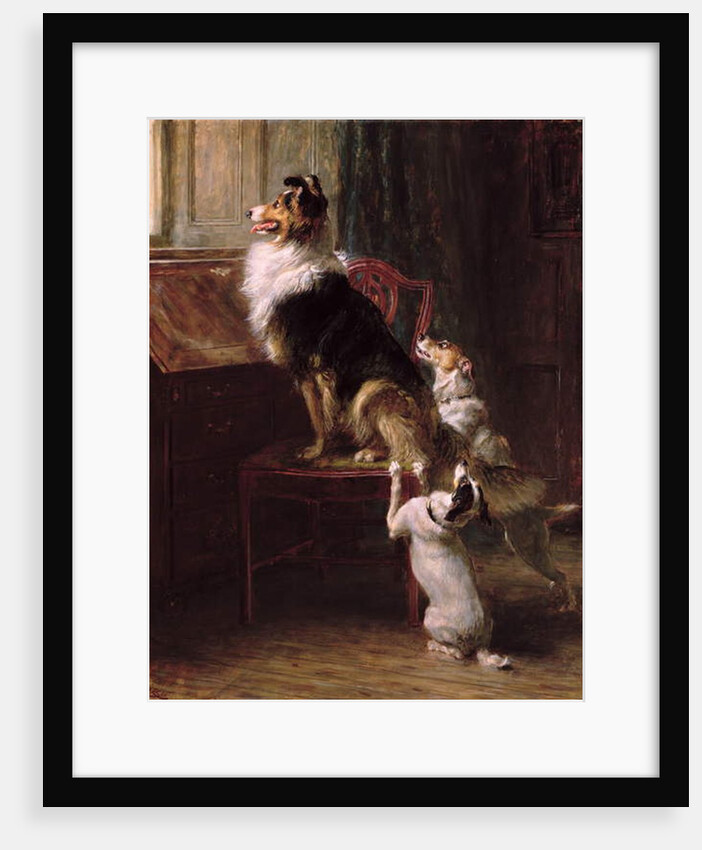 A Reserved Seat, 1901 by Briton Riviere