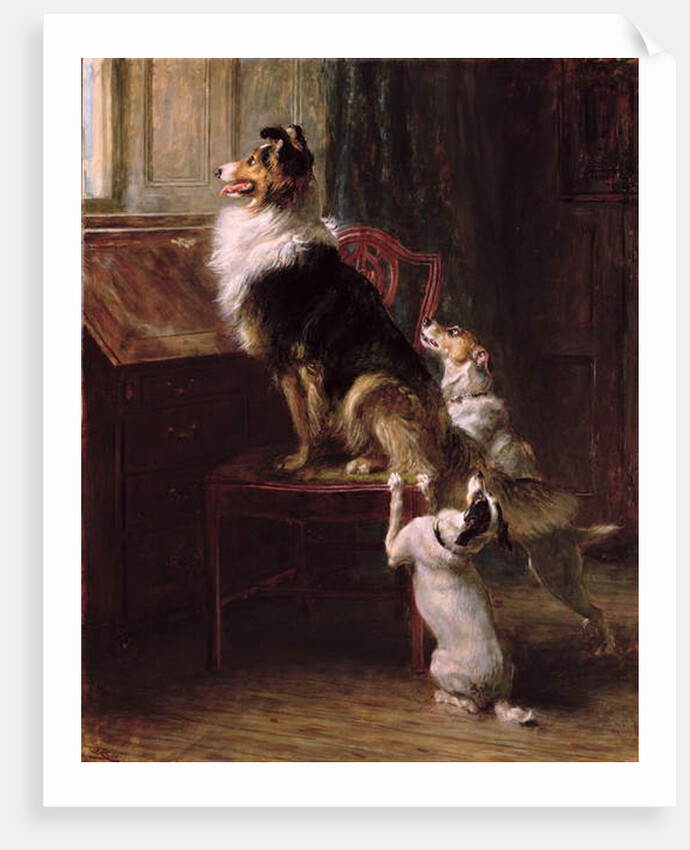 A Reserved Seat, 1901 by Briton Riviere