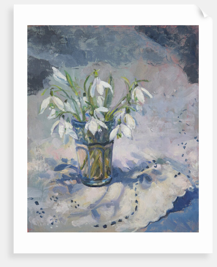 Snowdrops, 2013 by Sue Wales