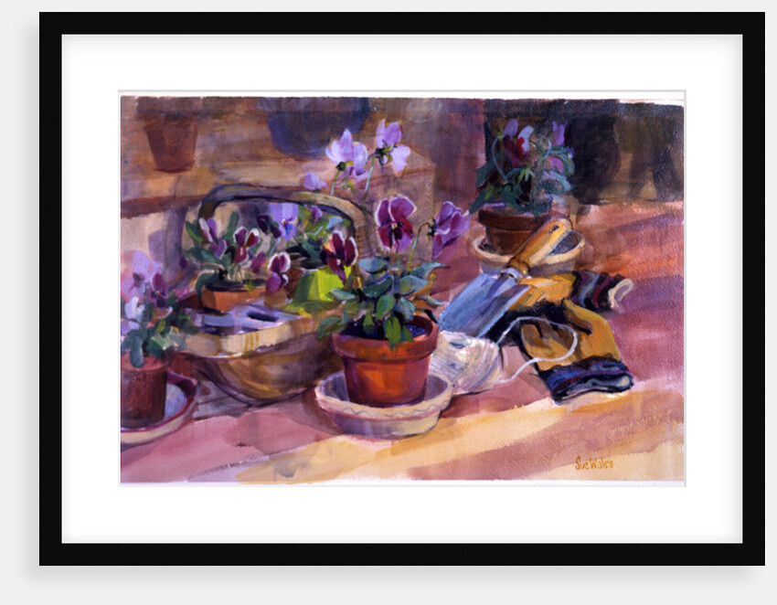 Potting up the pansies, 1996 by Sue Wales