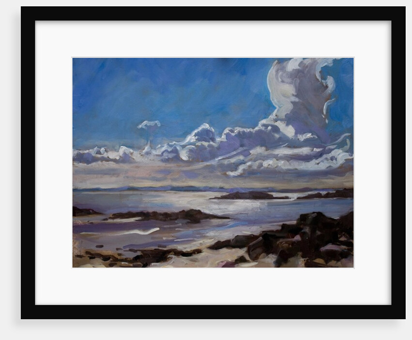 Late afternoon in Galloway, 2010 by Sue Wales