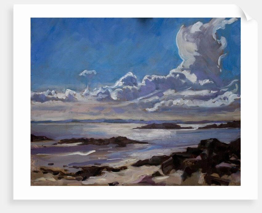 Late afternoon in Galloway, 2010 by Sue Wales