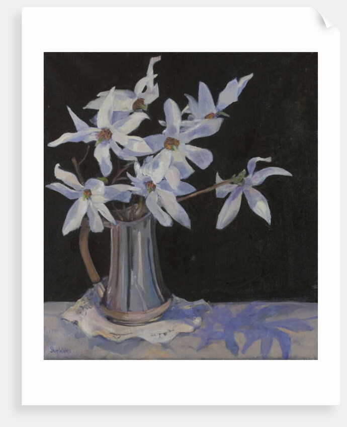 White Magnolias in Silver Jug, 2019 by Sue Wales
