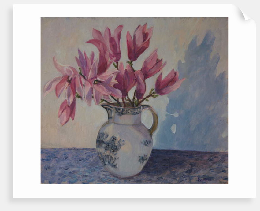 Pink magnolias, 2019 by Sue Wales