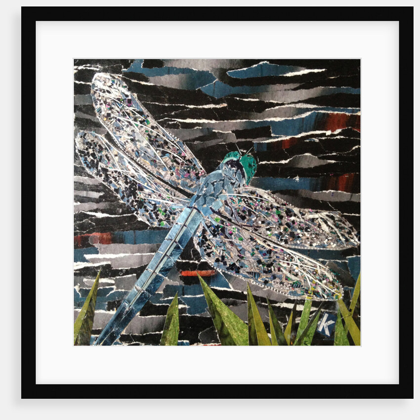Dart - Emperor Dragonfly At Riverside, 2016 by Kirstie Adamson