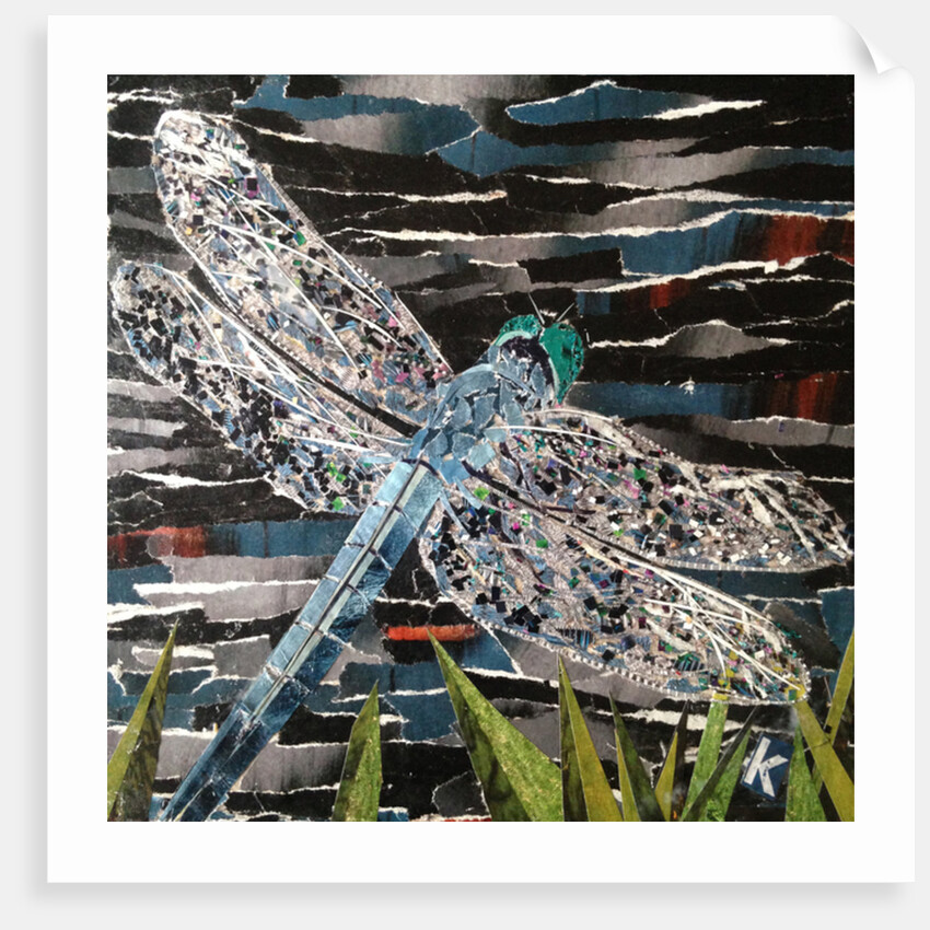Dart - Emperor Dragonfly At Riverside, 2016 by Kirstie Adamson