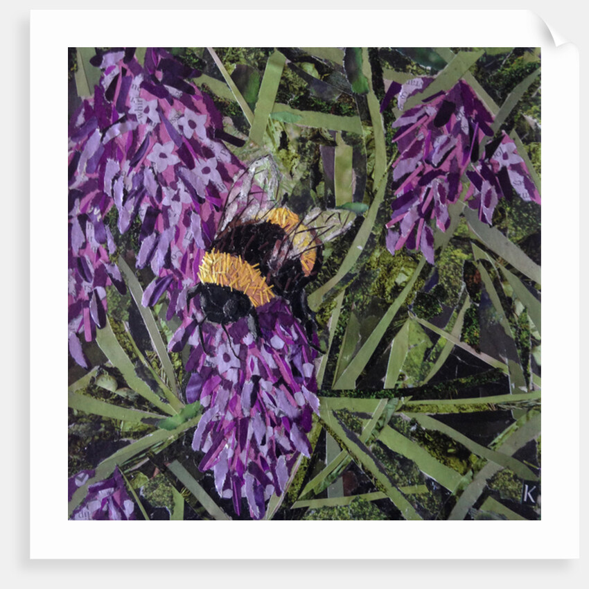 Buzz - Bumble Bee On Lavender, 2016 by Kirstie Adamson