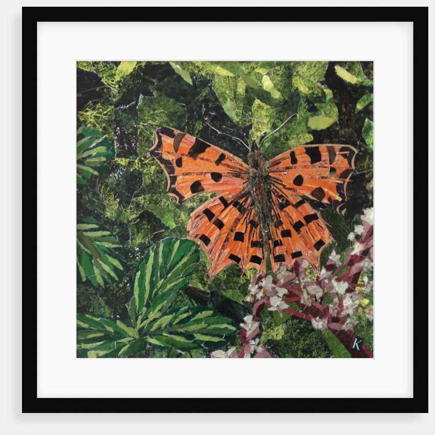 Flutter - Comma Butterfly On Japonica, 2016 by Kirstie Adamson