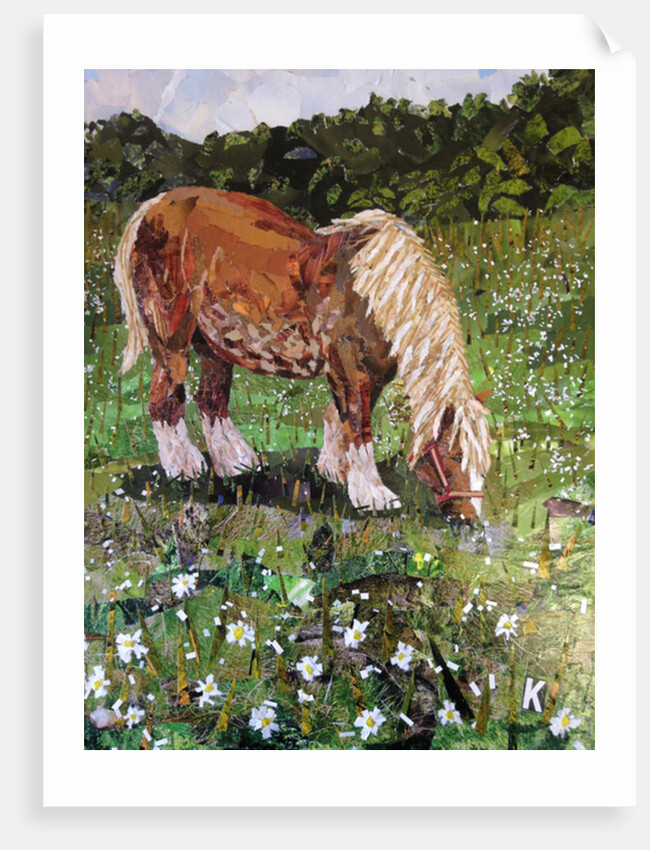 Hillside Horse, 2016 by Kirstie Adamson