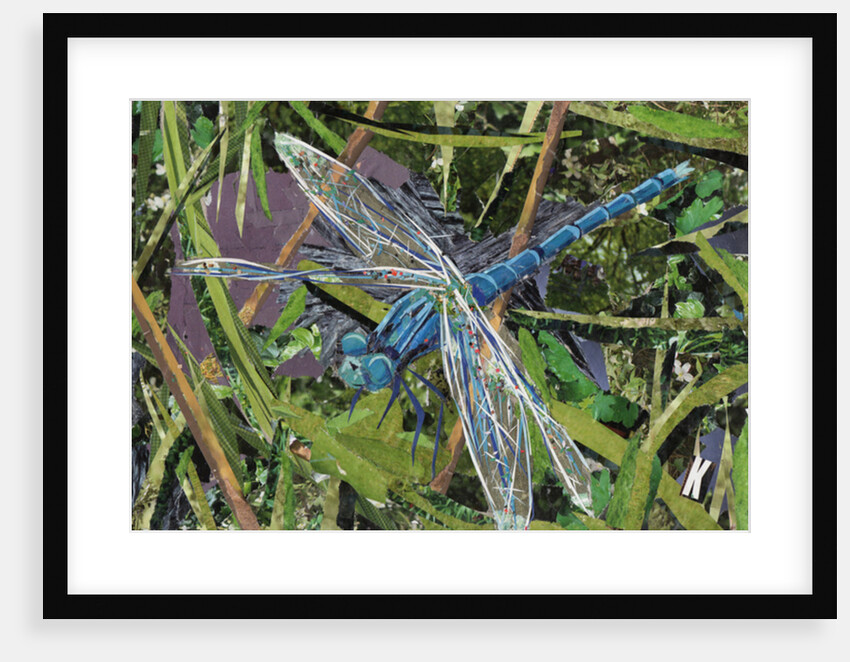 Blue Dragonfly, 2017 by Kirstie Adamson