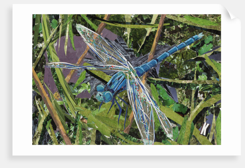 Blue Dragonfly, 2017 by Kirstie Adamson