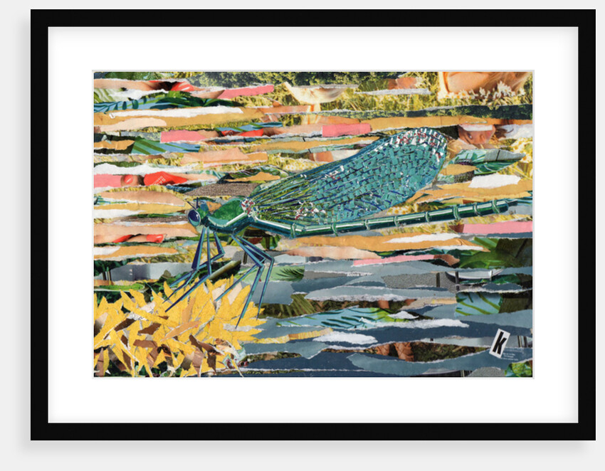 Green Dragonfly, 2017 by Kirstie Adamson