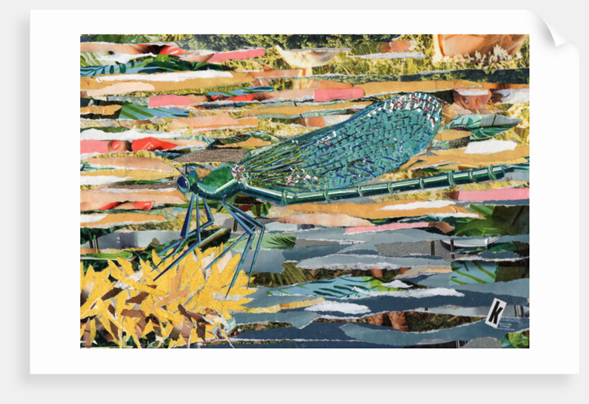 Green Dragonfly, 2017 by Kirstie Adamson