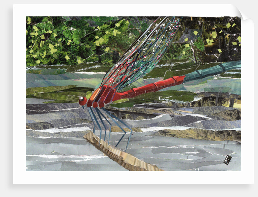 Red Dragonfly, 2017 by Kirstie Adamson