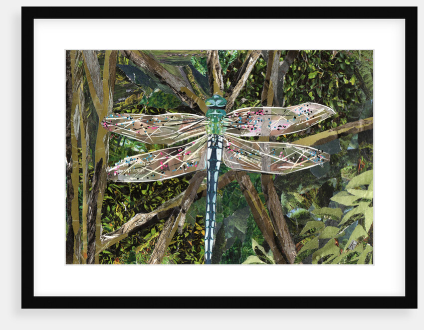 Turquoise Dragonfly, 2017 by Kirstie Adamson